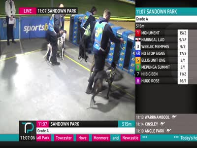 TRP 1 (The Racing Partnership)